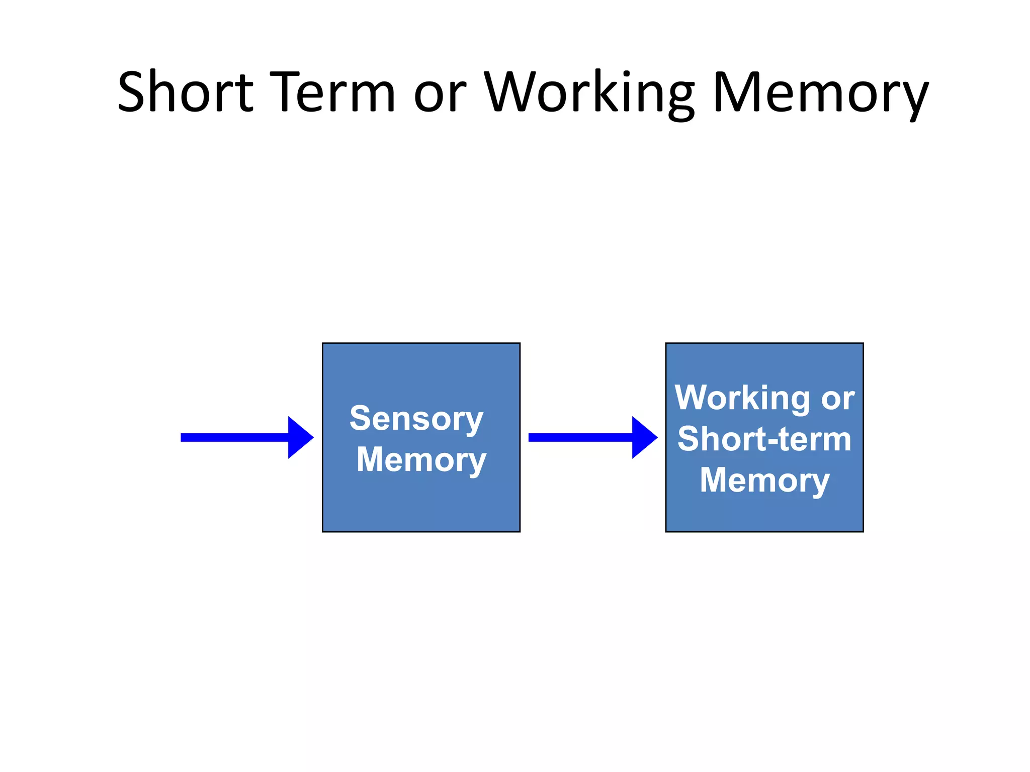 Short Term or Working Memory
Working or
Short-term
Memory
Sensory
Input
Sensory
Memory
Attention
 