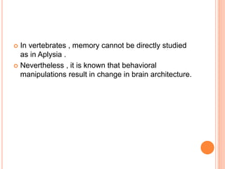  In vertebrates , memory cannot be directly studied
as in Aplysia .
 Nevertheless , it is known that behavioral
manipulations result in change in brain architecture.
 