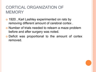 CORTICAL ORGANIZATION OF
MEMORY
 1920 , Karl Lashley experimented on rats by
removing different amount of cerebral cortex .
 Number of trials needed to relearn a maze problem
before and after surgery was noted.
 Deficit was proportional to the amount of cortex
removed.
 