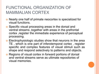 FUNCTIONAL ORGANIZATION OF
MAMMALIAN CORTEX
 Nearly one half of primate neocortex is specialized for
visual functions.
 Specific visual processing areas in the dorsal and
ventral streams ,together with areas in the prefrontal
cortex ,register the immediate experience of perceptual
processing.
 Electrophysiologic studies show that neurons in the area
TE , which is one part of inferotemporal cortex , register
specific and complex features of visual stimuli such as
shape and respond selectively to patterns and objects.
 Regions of visual cortex in forward portions of dorsal
and ventral streams serve as ultimate repositories of
visual memories.
 