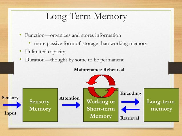 Memory.ppt