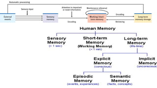 Introduction to Psychology - A lecture on Memory | PPTX