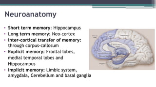 Neuroanatomy
• Short term memory: Hippocampus
• Long term memory: Neo-cortex
• Inter-cortical transfer of memory:
through corpus-callosum
• Explicit memory: Frontal lobes,
medial temporal lobes and
Hippocampus
• Implicit memory: Limbic system,
amygdala, Cerebellum and basal ganglia
 