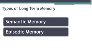 Types of Long Term Memory
Semantic Memory
Episodic Memory
 