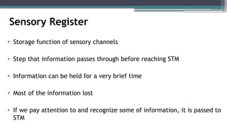Sensory Register
• Storage function of sensory channels
• Step that information passes through before reaching STM
• Information can be held for a very brief time
• Most of the information lost
• If we pay attention to and recognize some of information, it is passed to
STM
 