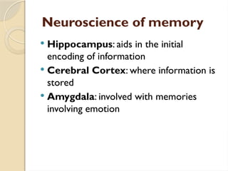 Neuroscience of memory
 Hippocampus: aids in the initial
encoding of information
 Cerebral Cortex: where information is
stored
 Amygdala: involved with memories
involving emotion
 