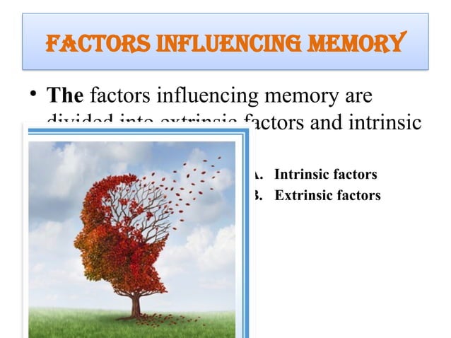 I INCLUDED THIS TOPIC INTRODUCTION MEMORY, DEFINITION OF MEMORY, TYPES ...