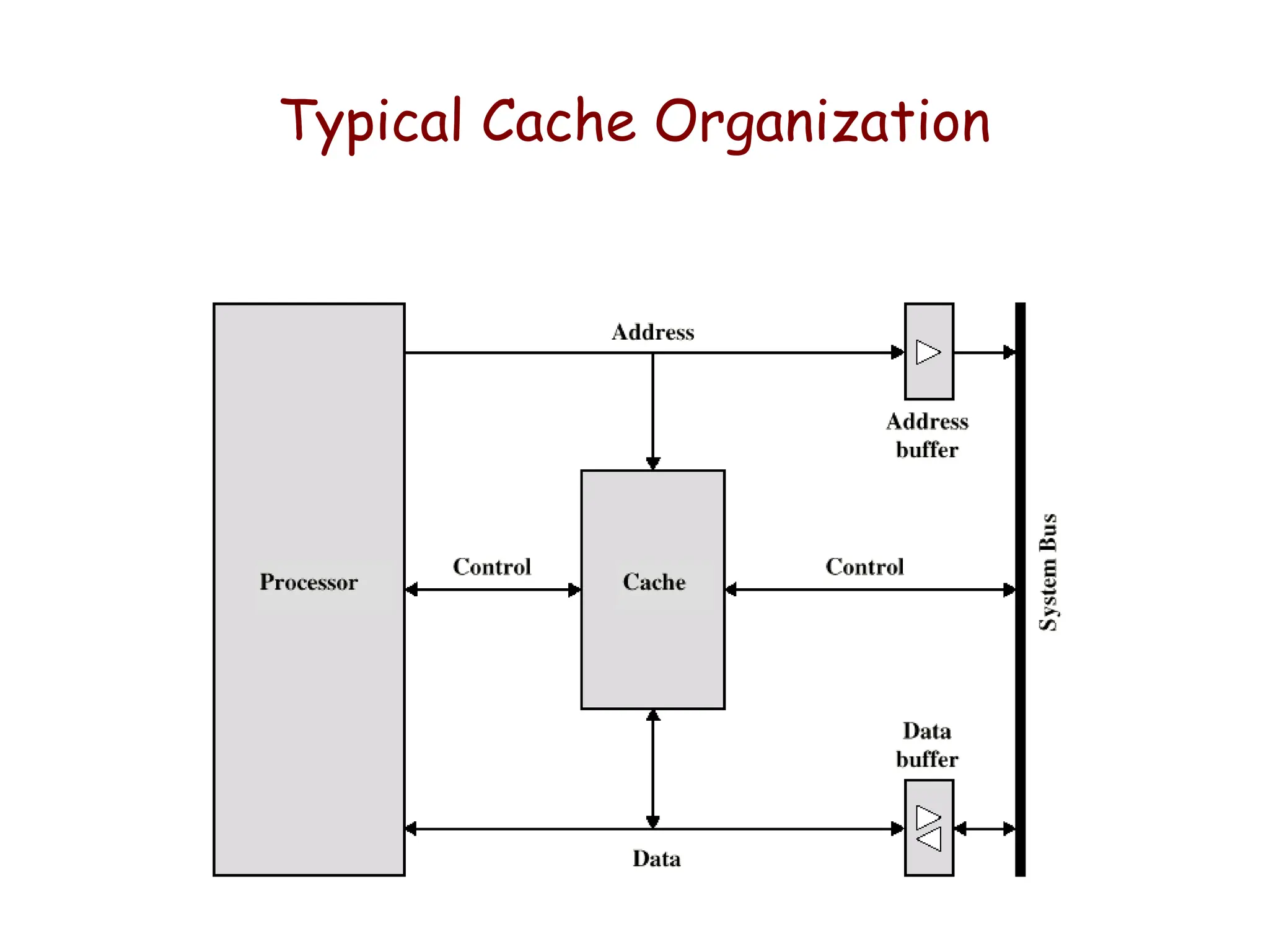 Typical Cache Organization
 