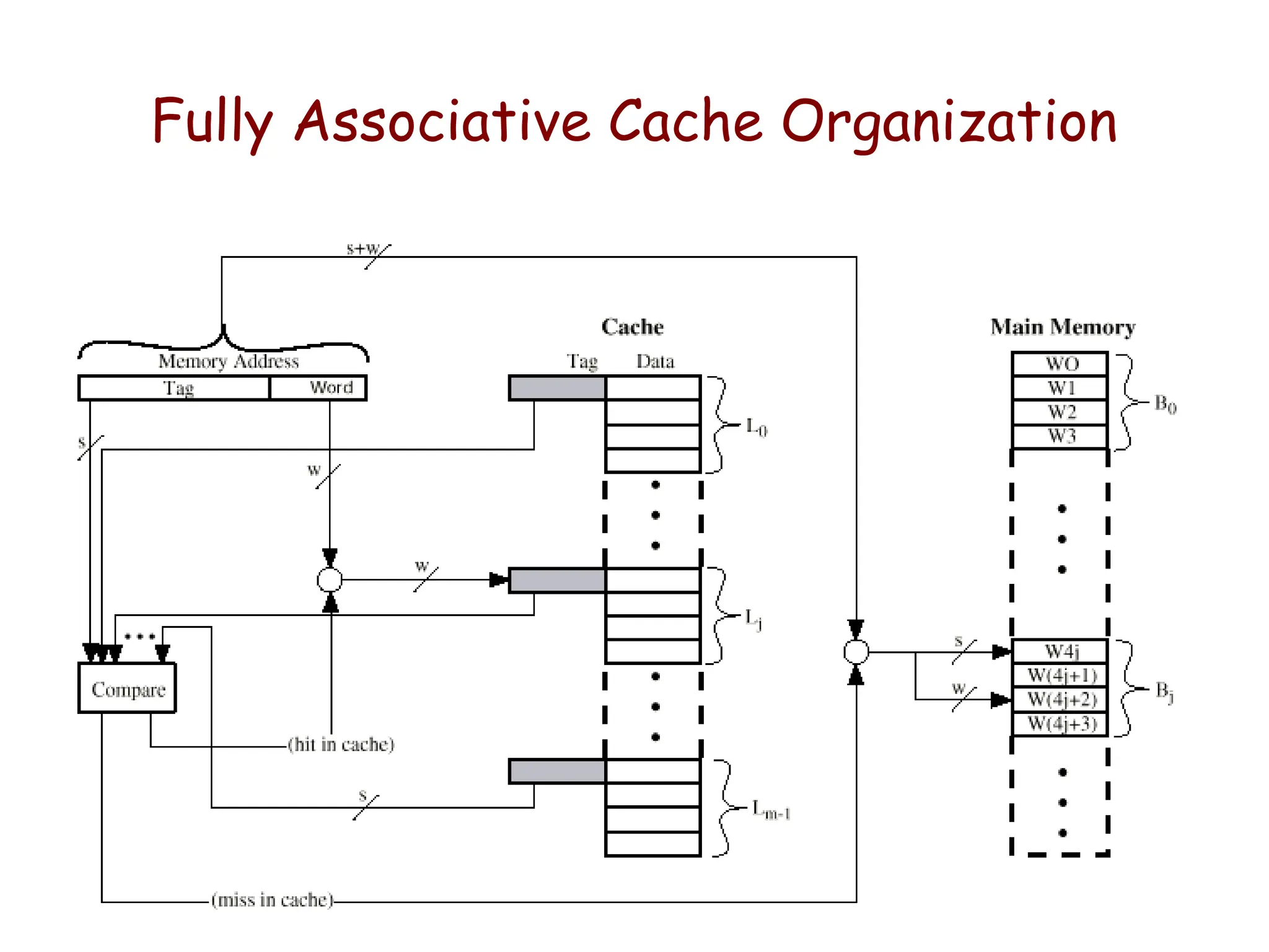 Fully Associative Cache Organization
 