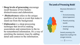 Presentation on Memory and thought processing.pptx