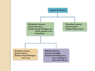 MEMORY.pptx Introduction to psychology topic memory | PPTX