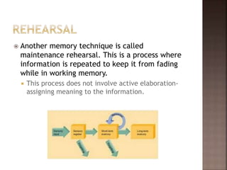  Another memory technique is called
maintenance rehearsal. This is a process where
information is repeated to keep it from fading
while in working memory.
 This process does not involve active elaboration-
assigning meaning to the information.
 