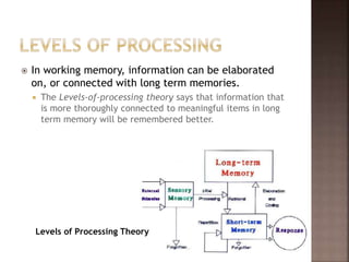  In working memory, information can be elaborated
on, or connected with long term memories.
 The Levels-of-processing theory says that information that
is more thoroughly connected to meaningful items in long
term memory will be remembered better.
Levels of Processing Theory
 