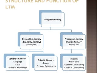 Long Term Memory
Declarative Memory
(Explicitly Memory)
(knowing what)
Semantic Memory:
-language
-Facts
-General Knowledge
Episodic Memory
-Events
-Personal Experiences
Procedural Memory
(Implicit Memory)
(knowing how)
Includes:
-Motor skills
-Operant Conditioning
-Classical Conditioning
 