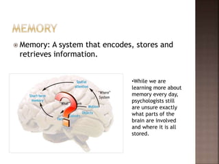  Memory: A system that encodes, stores and
retrieves information.
•While we are
learning more about
memory every day,
psychologists still
are unsure exactly
what parts of the
brain are involved
and where it is all
stored.
 