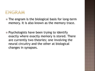 The engram is the biological basis for long-term
memory. It is also known as the memory trace.
 Psychologists have been trying to identify
exactly where exactly memory is stored. There
are currently two theories; one involving the
neural circuitry and the other at biological
changes in synapses.
 