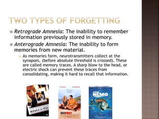  Retrograde Amnesia: The inability to remember
information previously stored in memory.
 Anterograde Amnesia: The inability to form
memories from new material.
 As memories form, neurotransmitters collect at the
synapses, (before absolute threshold is crossed). These
are called memory traces. A sharp blow to the head, or
electric shock can prevent these traces from
consolidating, making it hard to recall that information.
 