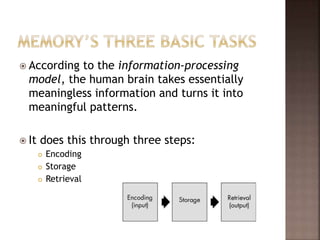  According to the information-processing
model, the human brain takes essentially
meaningless information and turns it into
meaningful patterns.
 It does this through three steps:
 Encoding
 Storage
 Retrieval
 