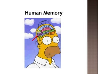 Human Memory
 