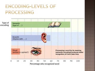 Processing a word by its meaning
(semantic encoding) produces better
recognition of it lat a later time.
 
