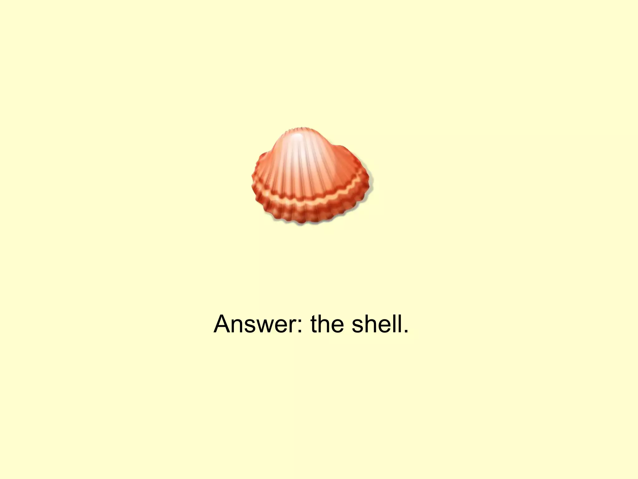 Answer: the shell.
 