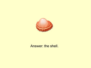 Answer: the shell.
 