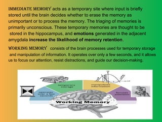Memory | PPT