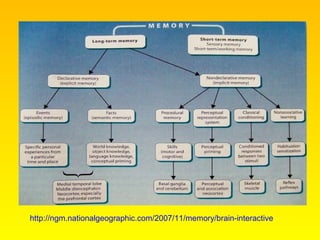 Memory | PPT