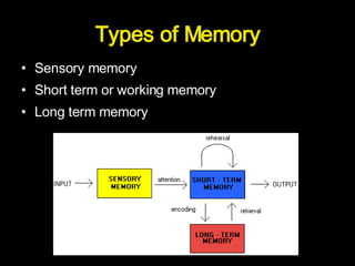 Memory & Learning | PPT
