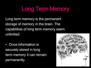 Memory & Learning | PPT