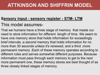 ATTKINSON AND SHIFFRIN MODEL
Sensory input - sensory register - STM- LTM
This model assumes-
That we humans have a three stage of memory that meets our
need to store information for different length of time. We seem to
have one memory store that holds information for exceedingly
brief intervals ,a second memory that holds information for no
more than 30 seconds unless it's renewed, and a third ,more
permanent memory .Each of these memory operates according to
different rules and serves somewhat different purposes. Because
information must pass through each memory to get to the next
more permanent one, these memory stores are best thought of as
three closely linked stages of memory.
 