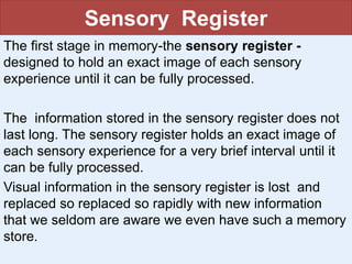 Sensory Register
The first stage in memory-the sensory register -
designed to hold an exact image of each sensory
experience until it can be fully processed.
The information stored in the sensory register does not
last long. The sensory register holds an exact image of
each sensory experience for a very brief interval until it
can be fully processed.
Visual information in the sensory register is lost and
replaced so replaced so rapidly with new information
that we seldom are aware we even have such a memory
store.
 