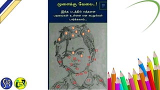 1
2
3
4
5
6
7
8
9
10
11
12
13
13
14
15
16
17 18
192021
22
23
24
25
26
 