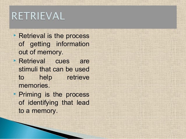forgetting memory processes forgetting memory processes