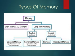 Types Of Memory
 