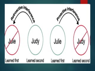 Memory and forgetting in psychology 