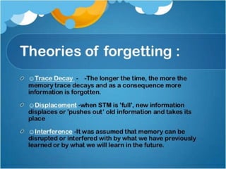 Memory and forgetting in psychology 