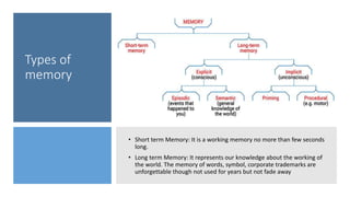 Memory and forgetting | PPTX