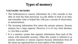 MEMORY, PROCESS AND FORGETTING IN PSYCHOLOGY | PPTX