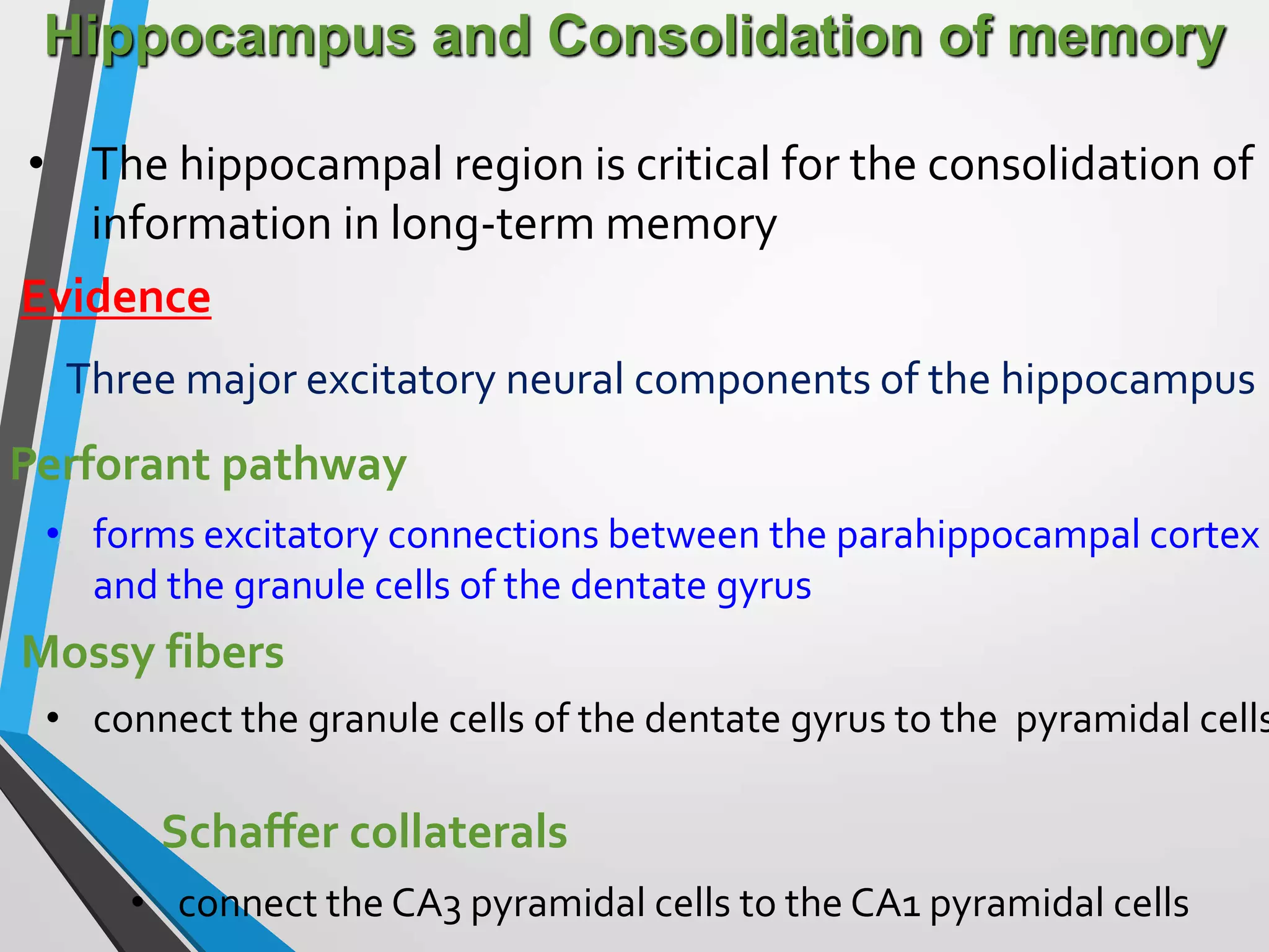 Hippocampus and Consolidation of memory
• The hippocampal region is critical for the consolidation of
information in long-term memory
Evidence
Three major excitatory neural components of the hippocampus
Perforant pathway
• forms excitatory connections between the parahippocampal cortex
and the granule cells of the dentate gyrus
Mossy fibers
• connect the granule cells of the dentate gyrus to the pyramidal cells
Schaffer collaterals
• connect the CA3 pyramidal cells to the CA1 pyramidal cells
 