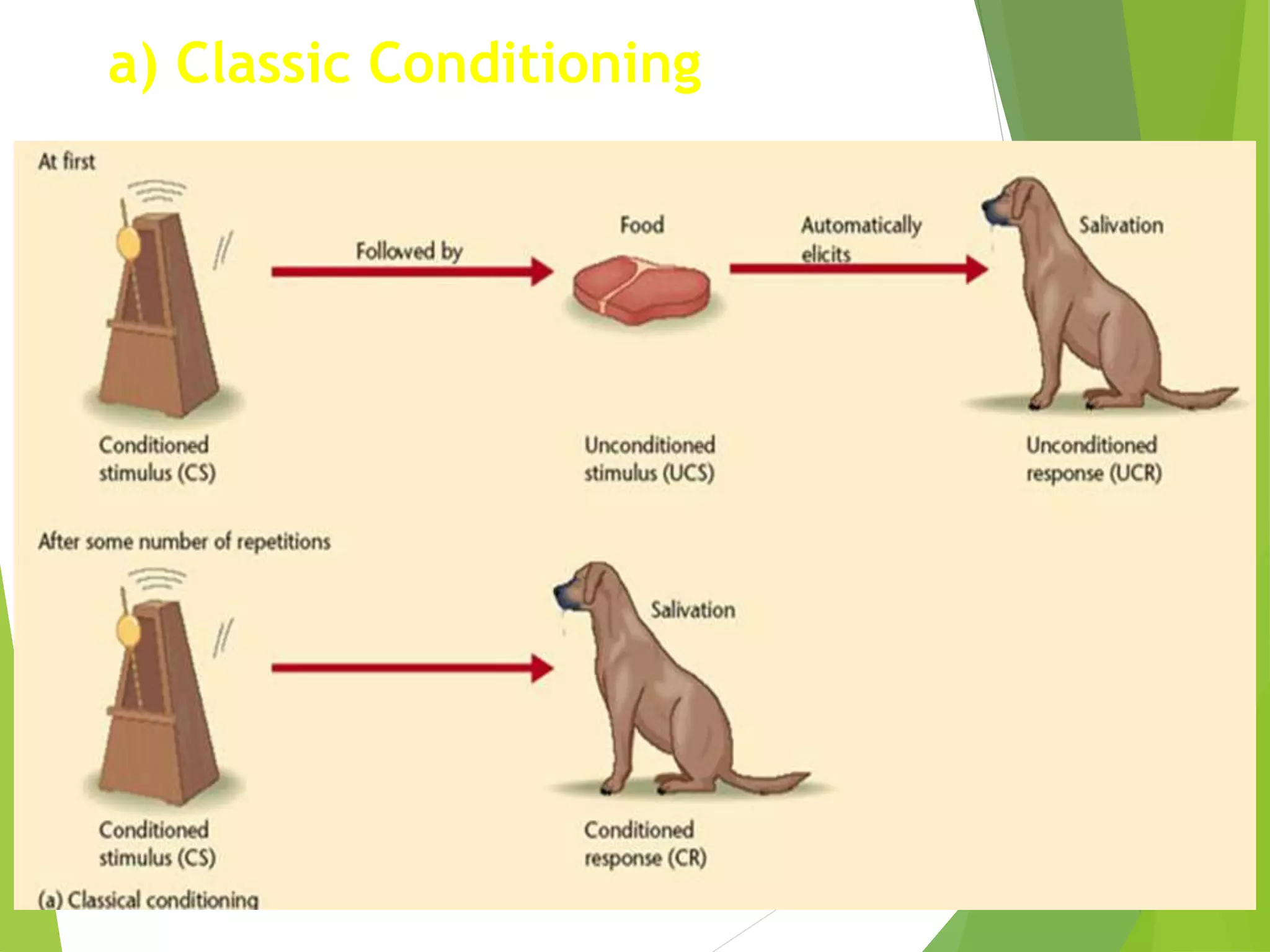 a) Classic Conditioning
 