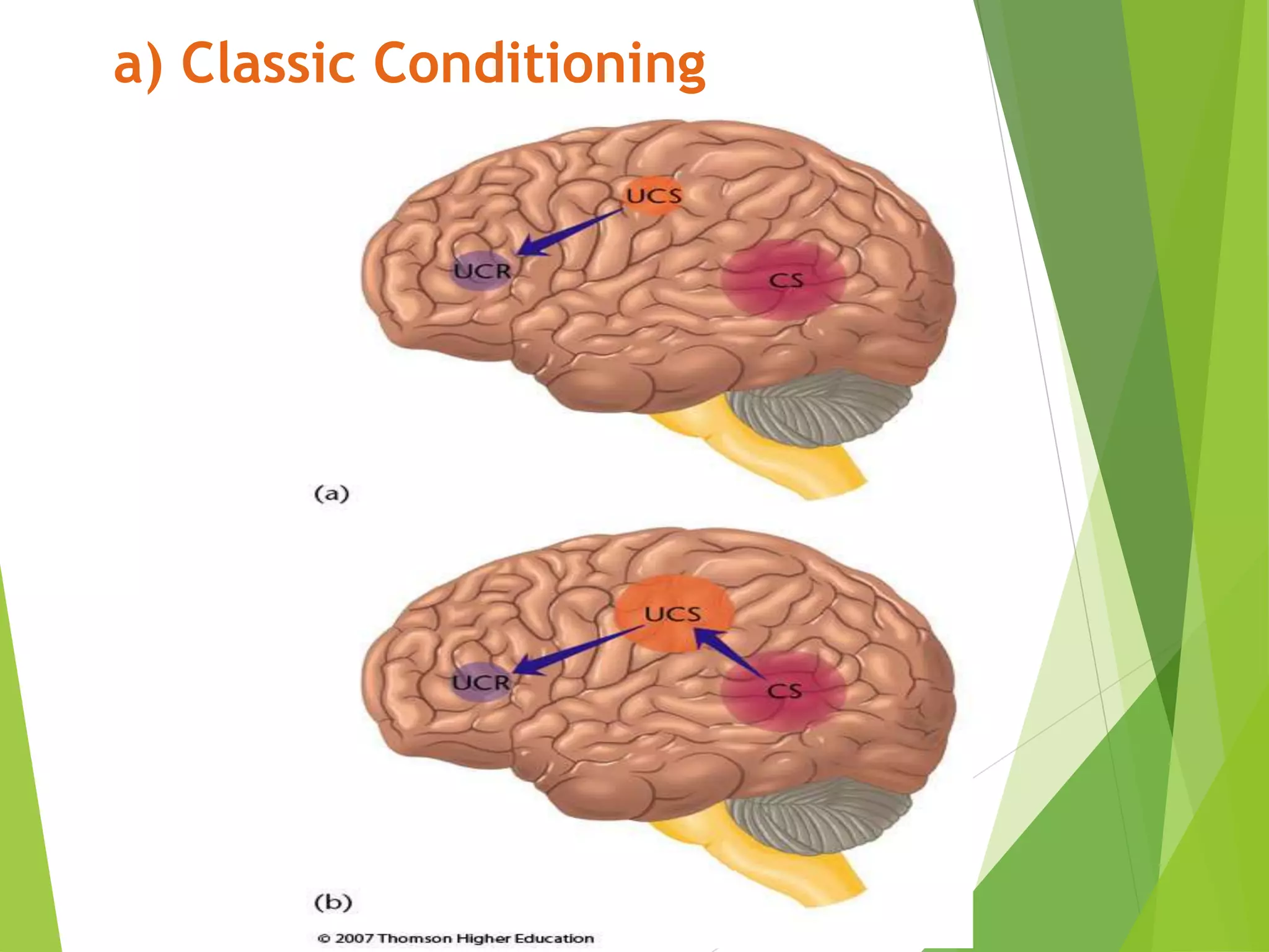 a) Classic Conditioning
 