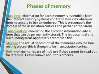 Memory Phase Memory and learning | PPT