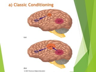 Conditioned Memory Example Memory and learning | PPT