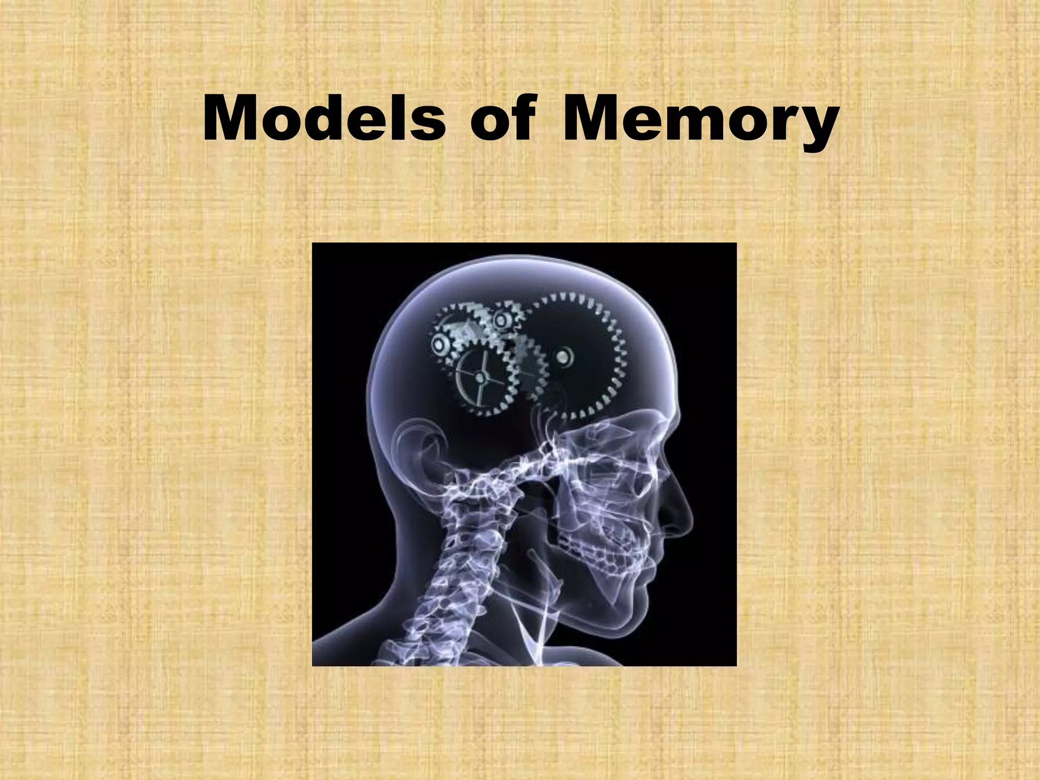 Models of Memory
 
