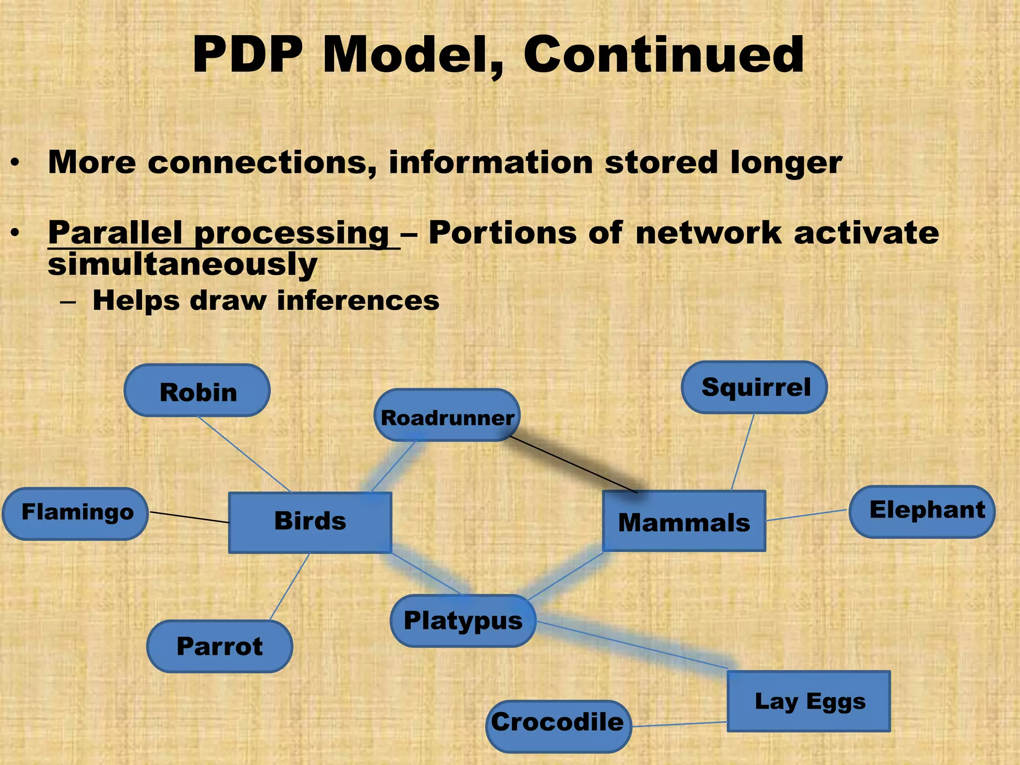 PDP Model, Continued
• More connections, information stored longer

• Parallel processing – Portions of network activate
  simultaneously
  – Helps draw inferences


           Robin                                 Squirrel
                             Roadrunner



Flamingo             Birds                                        Elephant
                                             Mammals


                              Platypus
            Parrot

                                                       Lay Eggs
                                     Crocodile
 