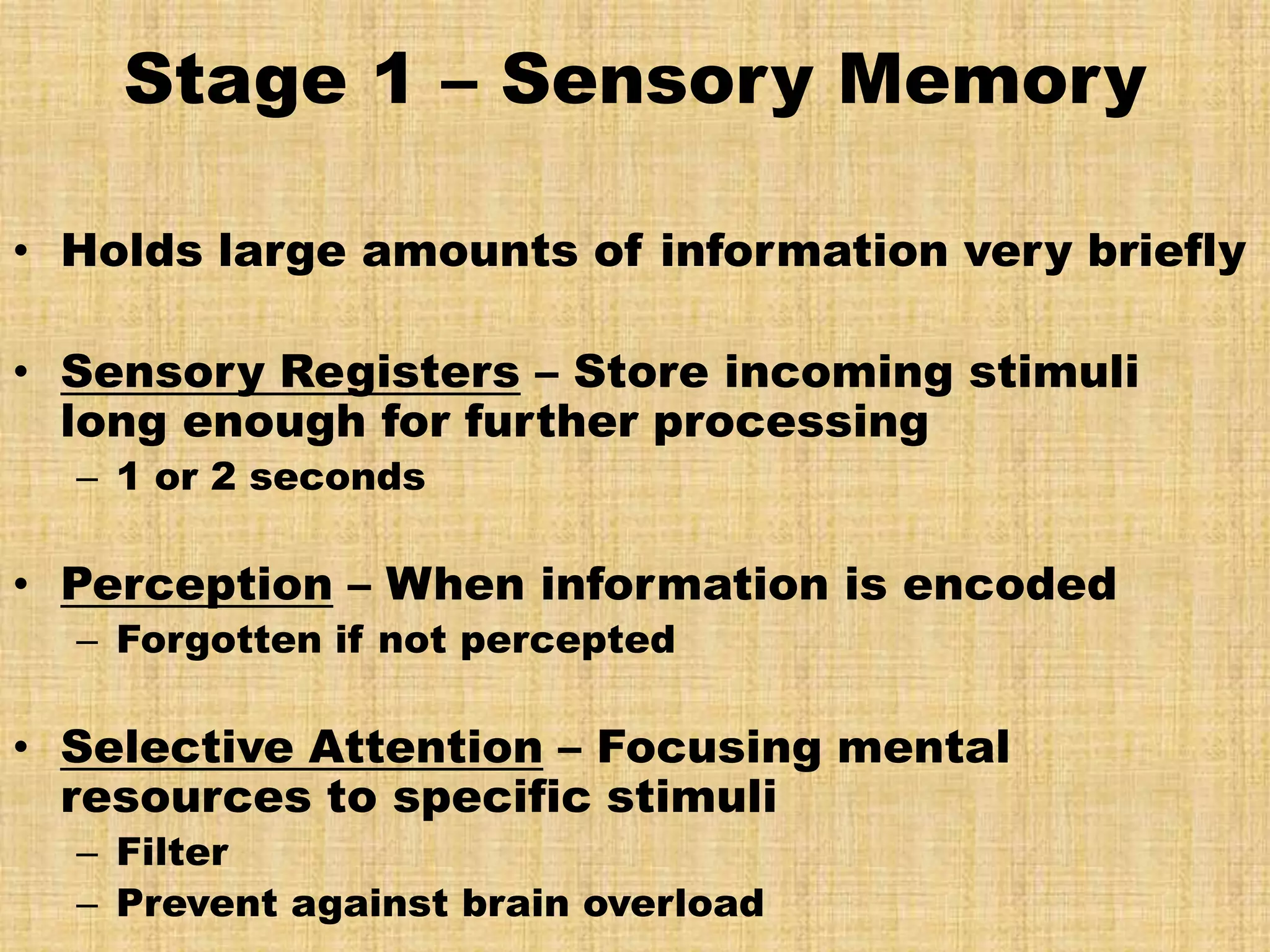 Stage 1 – Sensory Memory

• Holds large amounts of information very briefly

• Sensory Registers – Store incoming stimuli
  long enough for further processing
  – 1 or 2 seconds

• Perception – When information is encoded
  – Forgotten if not percepted

• Selective Attention – Focusing mental
  resources to specific stimuli
  – Filter
  – Prevent against brain overload
 