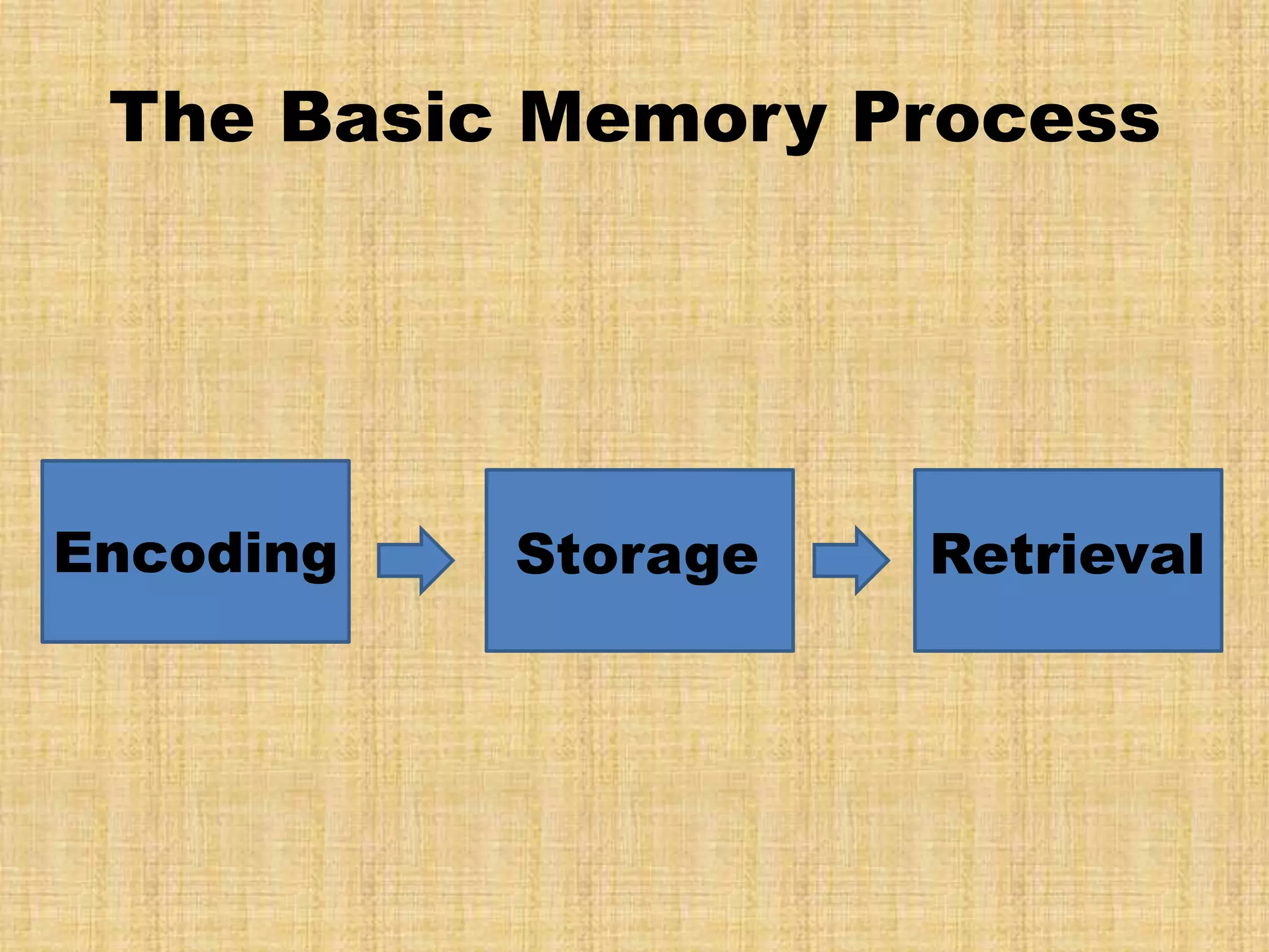 The Basic Memory Process




Encoding   Storage   Retrieval
 