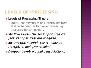 Stimuli Memory Memory and Thinking | PPTX
