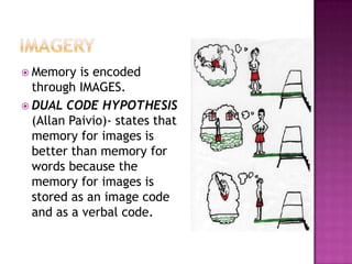 Memory and Thinking | PPTX